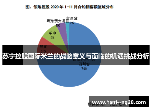 苏宁控股国际米兰的战略意义与面临的机遇挑战分析 苏宁控股国际米兰的战略意义与面临的机遇挑战分析