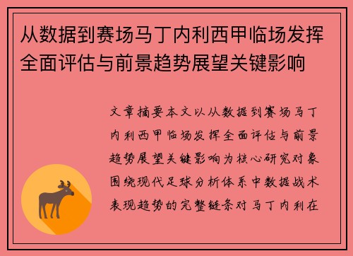 从数据到赛场马丁内利西甲临场发挥全面评估与前景趋势展望关键影响